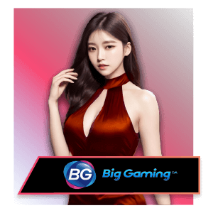 BGSO-CASINOImg